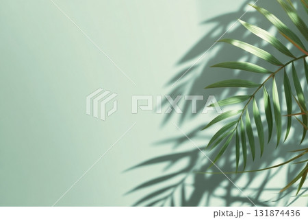 Minimal Abstract Background, Floor Space. Interior Design Projects. Light and Shadow. Tree Palm Leaves. Cosmetics Product Spa Stand Podium. Pastel Green Concrete Wall. Showcase Display Case. Mockup Ad Minimal Abstract Background, Floor Space. Interior Design Projects. Light and Shadow. Tree Palm Leaves. Cosmetics Product Spa Stand Podium. Pastel Green Concrete Wall. Showcase Display Case. Mockup Ad 131874436