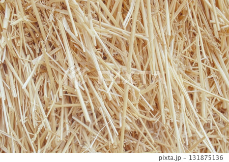 Dry wheat straw texture background, mown wheat, grain crops. Straw bale texture, close-up. Dry wheat straw texture background, mown wheat, grain crops. Straw bale texture, close-up. 131875136