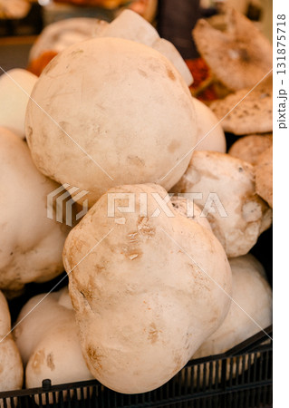 Fresh puffball mushrooms photographed closeup in bulk, symbolizing wild forest harvest, organic 131875718