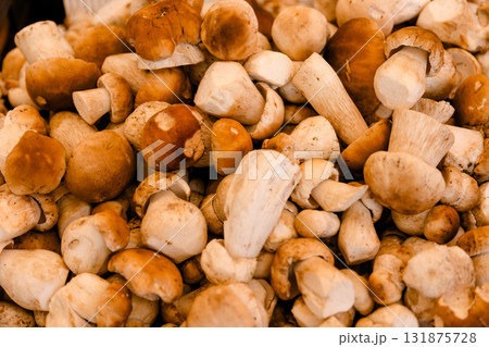Fresh porcini mushrooms stacked together at a market stall, symbolizing forest harvest, organic food Fresh porcini mushrooms stacked together at a market stall, symbolizing forest harvest, organic food 131875728