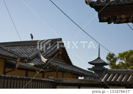 東寺さん　北大門付近の屋根越しの五重塔 131876637