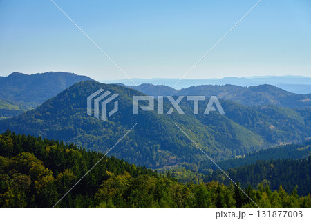 Panoramic mountain forest landscape under clear blue sky 131877003