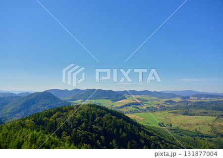 Scenic view of green valley and forested hills under clear summer sky Scenic view of green valley and forested hills under clear summer sky 131877004