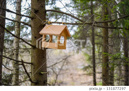 A wooden birdhouse hanging on a tree branch in a forest 131877297