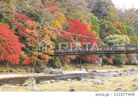 紅の吊橋 紅の吊橋 131877409