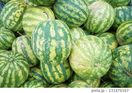 Close up photo of freshly harvested organic watermelons, selective focus 131878167
