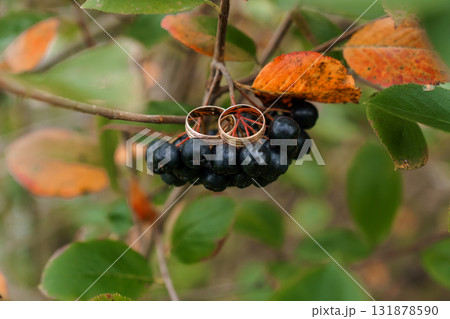 Wedding Rings on Branch with Berries Autumnal Love, Gold Bands, Natural Setting, Dark Green Foliage, Romantic Symbolism, Seasonal Still Life 131878590