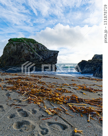 Scenic view of a seaweed-covered beach with striking rock formations and the ocean horizon under a partly cloudy sky. 131878719