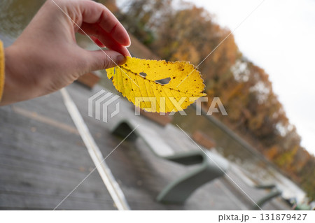 A hand holds a yellow autumn leaf with small holes resembling a smiling face against a blurred background of benches and a pond in the park A hand holds a yellow autumn leaf with small holes resembling a smiling face against a blurred background of benches and a pond in the park 131879427