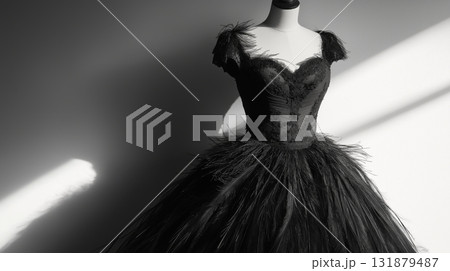 Elegant black dress with feather details displayed in soft light 131879487