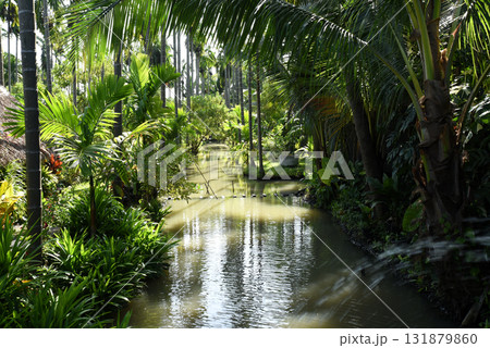 Fresh green garden, tropical style, with a canal in the middle between the trees. 131879860