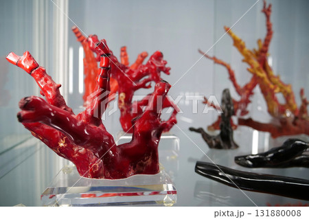 Red corals at central Expo Center 131880008