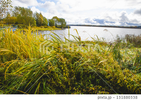 Autumn landscape of the mountains with beautyfully colored forest, ever green pine trees and a stormy sky 131880338