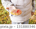 A small dried fly mushroom in female hand with copy space on white background. Gathering mushrooms. Poisonous toxic dangerous inedible mushroom. Dried Amanita muscaria has anti-inflammatory properties 131880346