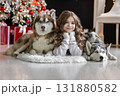 Girl lying on the floor with two huskies on a Christmas background 131880582