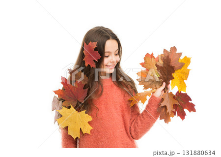 Nature changing color. Seasons concept. Fall season. Kid with fallen leaves white background. Happy small girl maple leaves. Autumn pleasures. Cozy days. Childhood happiness. Collecting autumn leaves 131880634