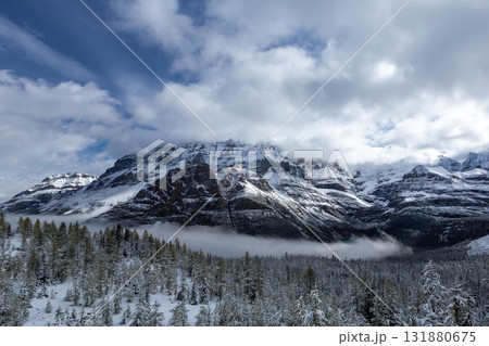 カナダの雪山と針葉樹林の絶景 131880675