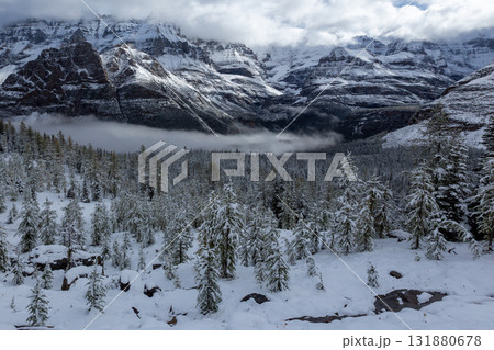 雪化粧の渓谷とカナディアンロッキー 雪化粧の渓谷とカナディアンロッキー 131880678