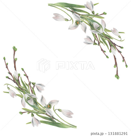 Half wreath of snowdrops flowers with spring twigs. Watercolor illustration hand drawn and isolated on a white background. Perfect for decorating postcards, wedding invitations, textiles, tableware. Half wreath of snowdrops flowers with spring twigs. Watercolor illustration hand drawn and isolated on a white background. Perfect for decorating postcards, wedding invitations, textiles, tableware. 131881291