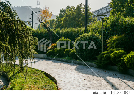 Peaceful morning stroll through a lush urban park with greenery and gentle sunlight near city buildings Peaceful morning stroll through a lush urban park with greenery and gentle sunlight near city buildings 131881805