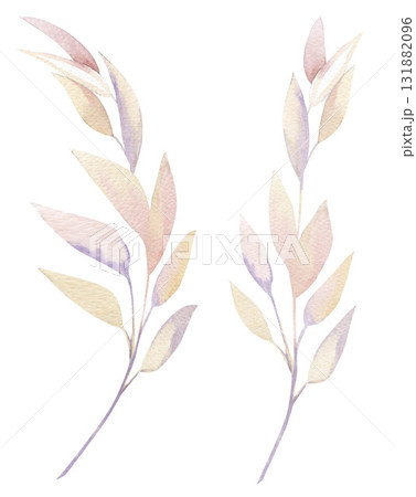 bush of grass painted with watercolor - an element for creating textile and postcard designs bush of grass painted with watercolor - an element for creating textile and postcard designs 131882096