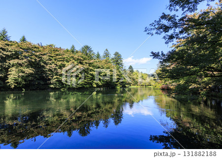 池に映る紅葉(旧軽井沢の雲場池) 池に映る紅葉(旧軽井沢の雲場池) 131882188