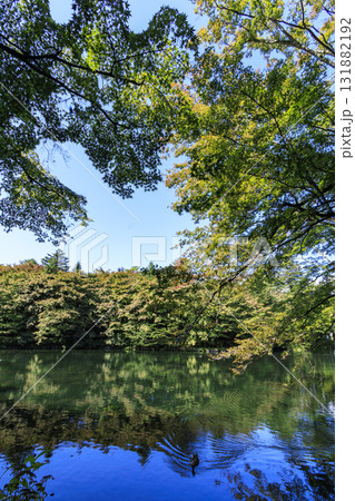 池に映る紅葉(旧軽井沢の雲場池) 池に映る紅葉(旧軽井沢の雲場池) 131882192