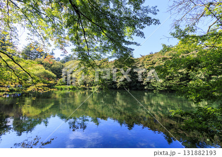 池に映る紅葉(旧軽井沢の雲場池) 池に映る紅葉(旧軽井沢の雲場池) 131882193