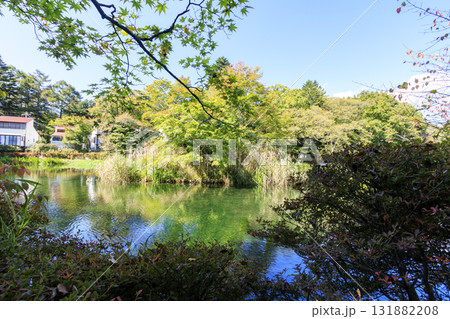 池に映る紅葉（旧軽井沢の雲場池） 131882208