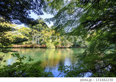 池に映る紅葉(旧軽井沢の雲場池) 池に映る紅葉(旧軽井沢の雲場池) 131882230