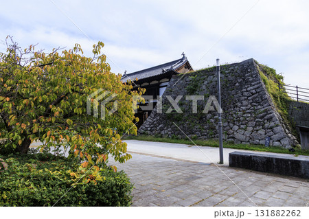 小諸市の小諸城址園(通称:懐古園)の秋 小諸市の小諸城址園(通称:懐古園)の秋 131882262