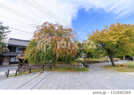 小諸市の小諸城址園（通称：懐古園）の秋 131882269