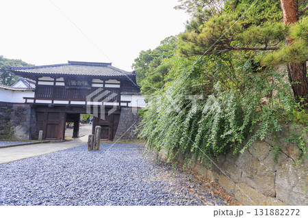 小諸市の小諸城址園（通称：懐古園）の秋 131882272