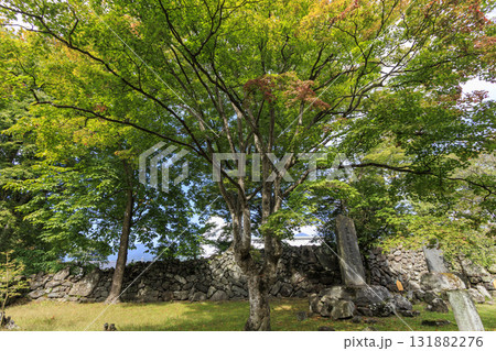小諸市の小諸城址園（通称：懐古園）の秋 131882276