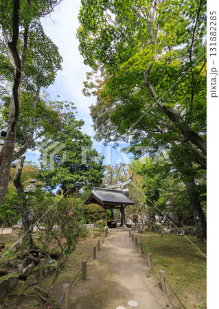 小諸市の小諸城址園(通称:懐古園)の秋 小諸市の小諸城址園(通称:懐古園)の秋 131882285
