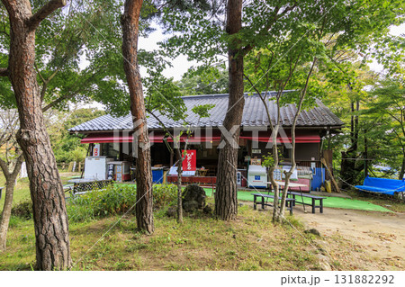 小諸市の小諸城址園（通称：懐古園）の秋 131882292