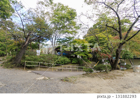 小諸市の小諸城址園（通称：懐古園）の秋 131882293