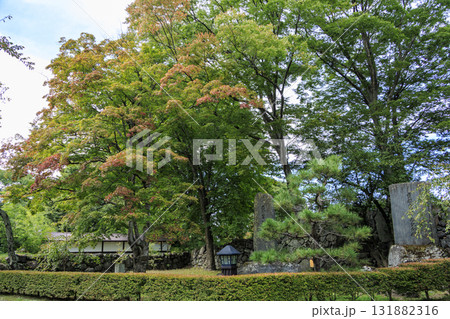 小諸市の小諸城址園(通称:懐古園)の秋 小諸市の小諸城址園(通称:懐古園)の秋 131882316