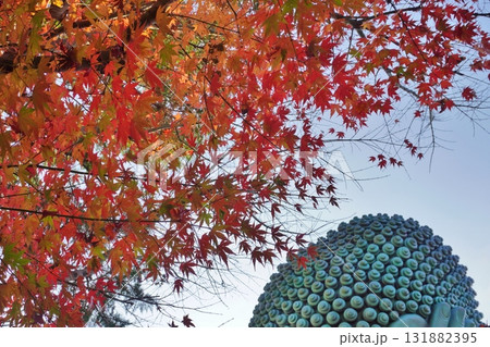 篠栗町　城戸南蔵院　釈迦涅槃像と紅葉 131882395