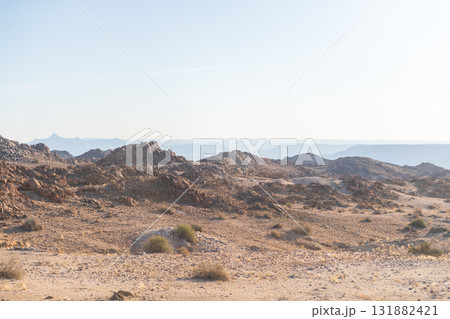 Namibian Desert landscape 131882421