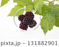 　ブラックベリー　　スタジオ撮影 131882901