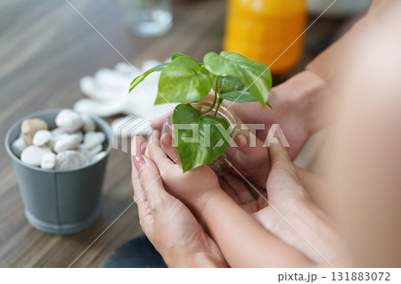 Connecting with Nature and Family. Hands nurturing a small plant together, emphasizing eco-friendly gardening. Connecting with Nature and Family. Hands nurturing a small plant together, emphasizing eco-friendly gardening. 131883072