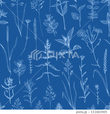 Seamless pattern with wild plants and flowers, illustration in engraving toile de jouy style. 131883405