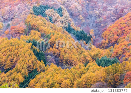 「岩手県」葛巻町の美しい秋風景 131883775