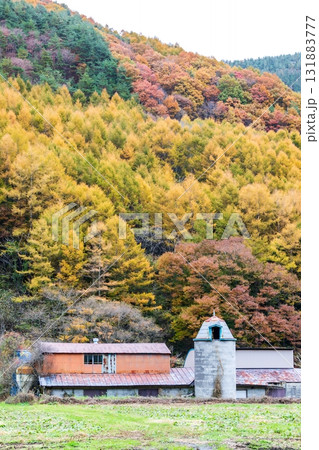 「岩手県」葛巻町の美しい秋風景 131883777