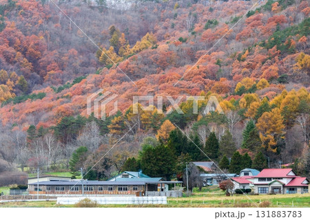 「岩手県」葛巻町の美しい秋風景 131883783