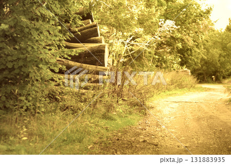 rural road in the forest rural road in the forest 131883935