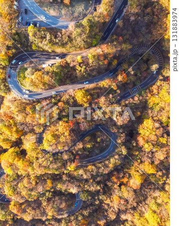 空撮「栃木県」紅葉で秋色に染まった日光のいろは坂　秋 131883974