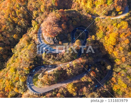 空撮「栃木県」紅葉で秋色に染まった日光のいろは坂 秋 空撮「栃木県」紅葉で秋色に染まった日光のいろは坂 秋 131883979