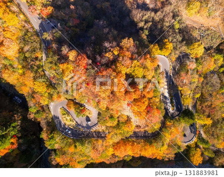 空撮「栃木県」紅葉で秋色に染まった日光のいろは坂 秋 空撮「栃木県」紅葉で秋色に染まった日光のいろは坂 秋 131883981